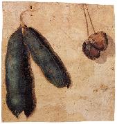 Simone Peterzano Peapods and Cherries oil on canvas